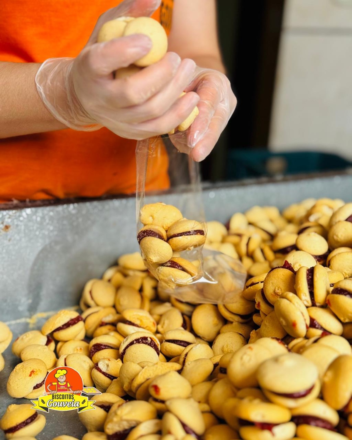 biscoitosgouveia 4 1200