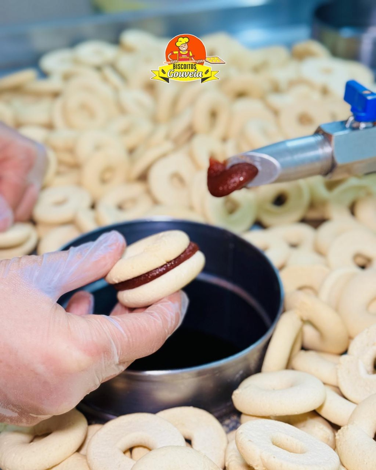 biscoitosgouveia 7 1200