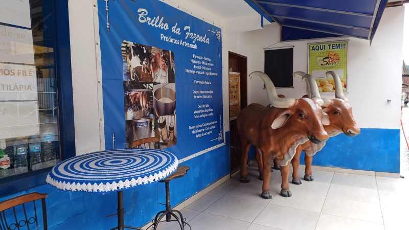 brilhodafazendanovas2