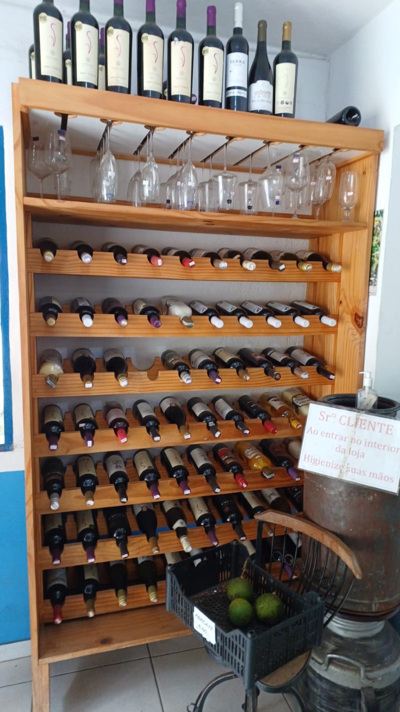 brilhodafazendanovas8 3