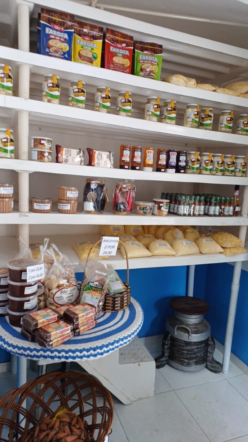 brilhodafazendanovas8 4